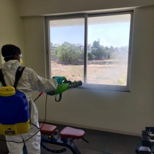 Commercial bed bug control Hyderabad