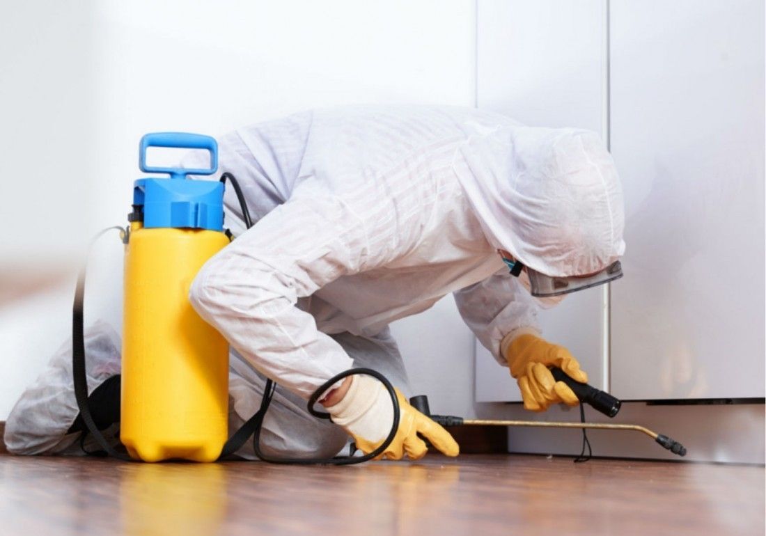 Pest control technician inspecting a property for cockroaches