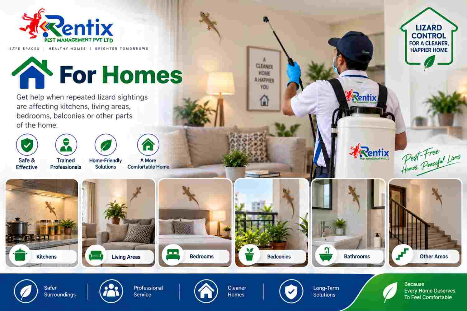 Lizard removal for homes in Hyderabad